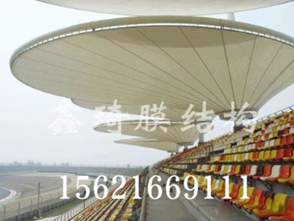 膜结构看台 (7)